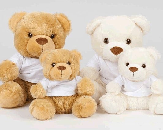 Heart Heroes Teddy Bears